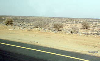 to Madinah